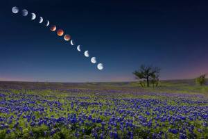 The Blood Moon Sequence of April 14-15, 2014